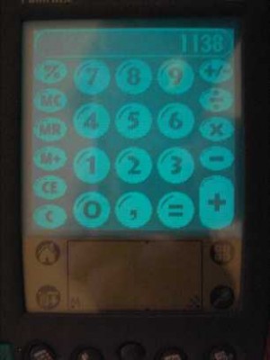 1138_palm.jpg