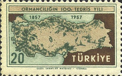 turkey1256[1].JPG