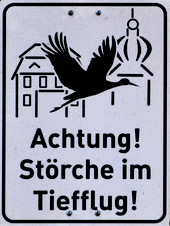 tiefflug.jpg