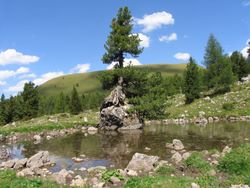 IMG_3922.JPG